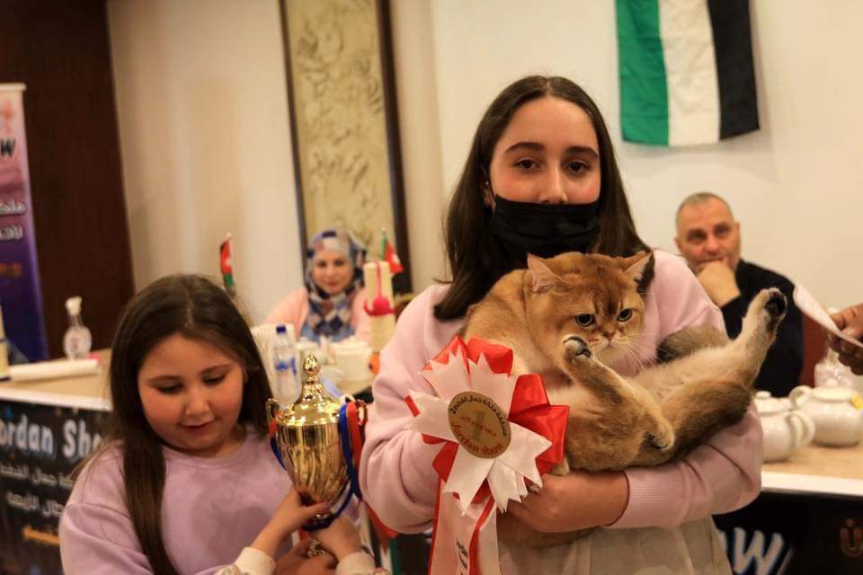 📷مسابقة جمال القطط في عمان بالأردن.