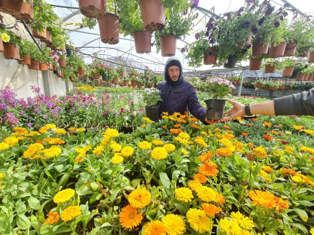 صور | غزة في أول أيام الربيع