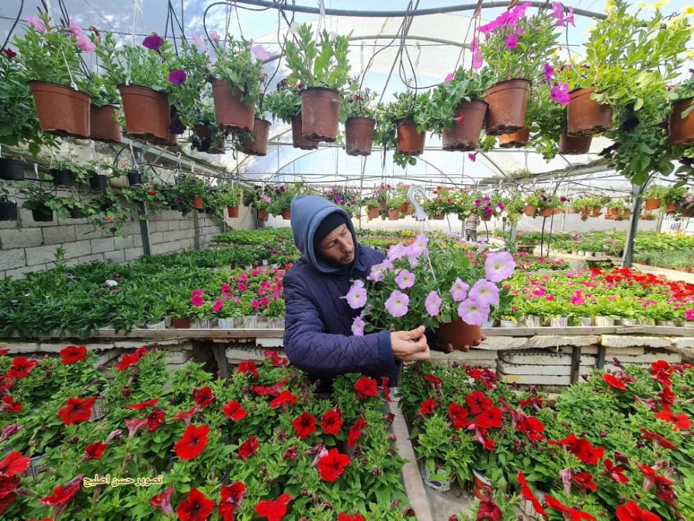 صور | غزة في أول أيام الربيع