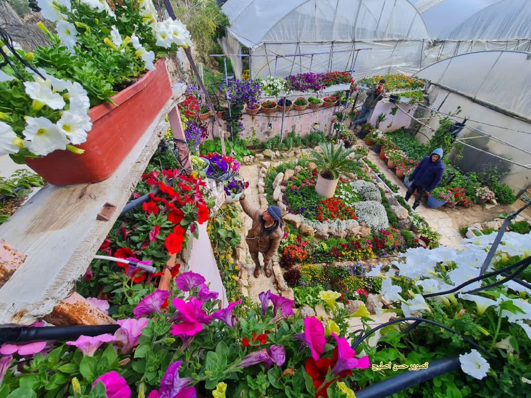 صور | غزة في أول أيام الربيع