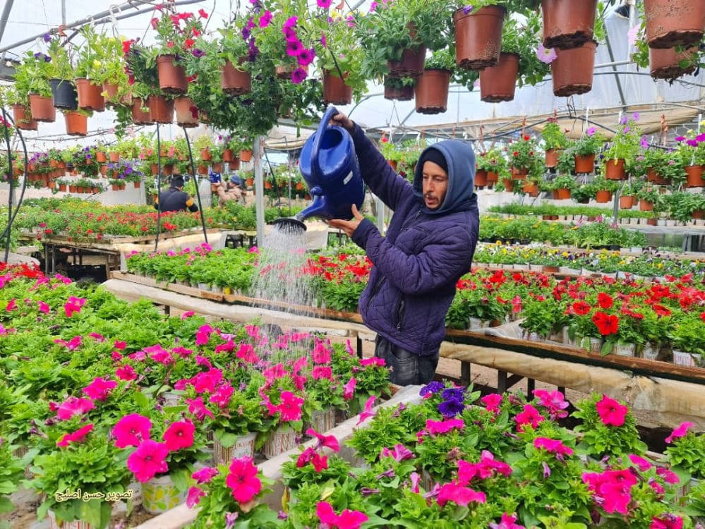 صور | غزة في أول أيام الربيع