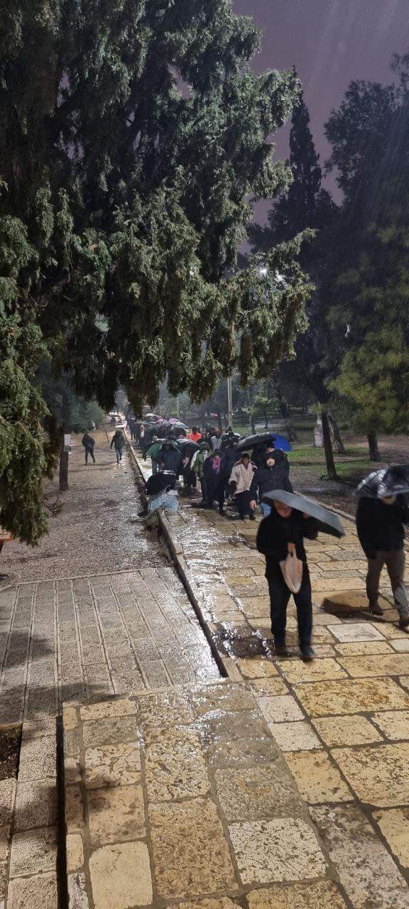 📷 صور من صلاة الفجر في المسجد الأقصى المبارك.