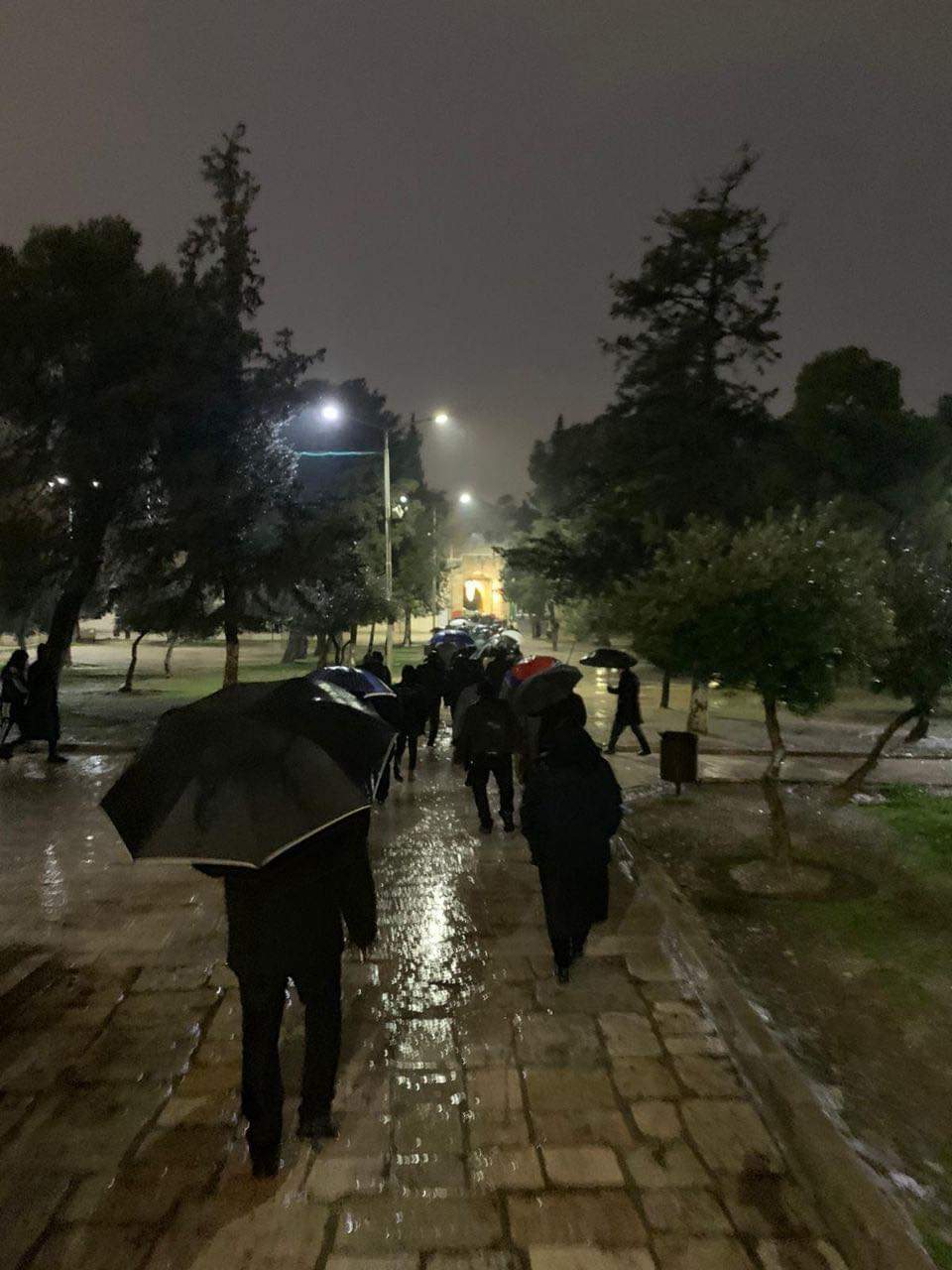 📷 صور من صلاة الفجر في المسجد الأقصى المبارك.