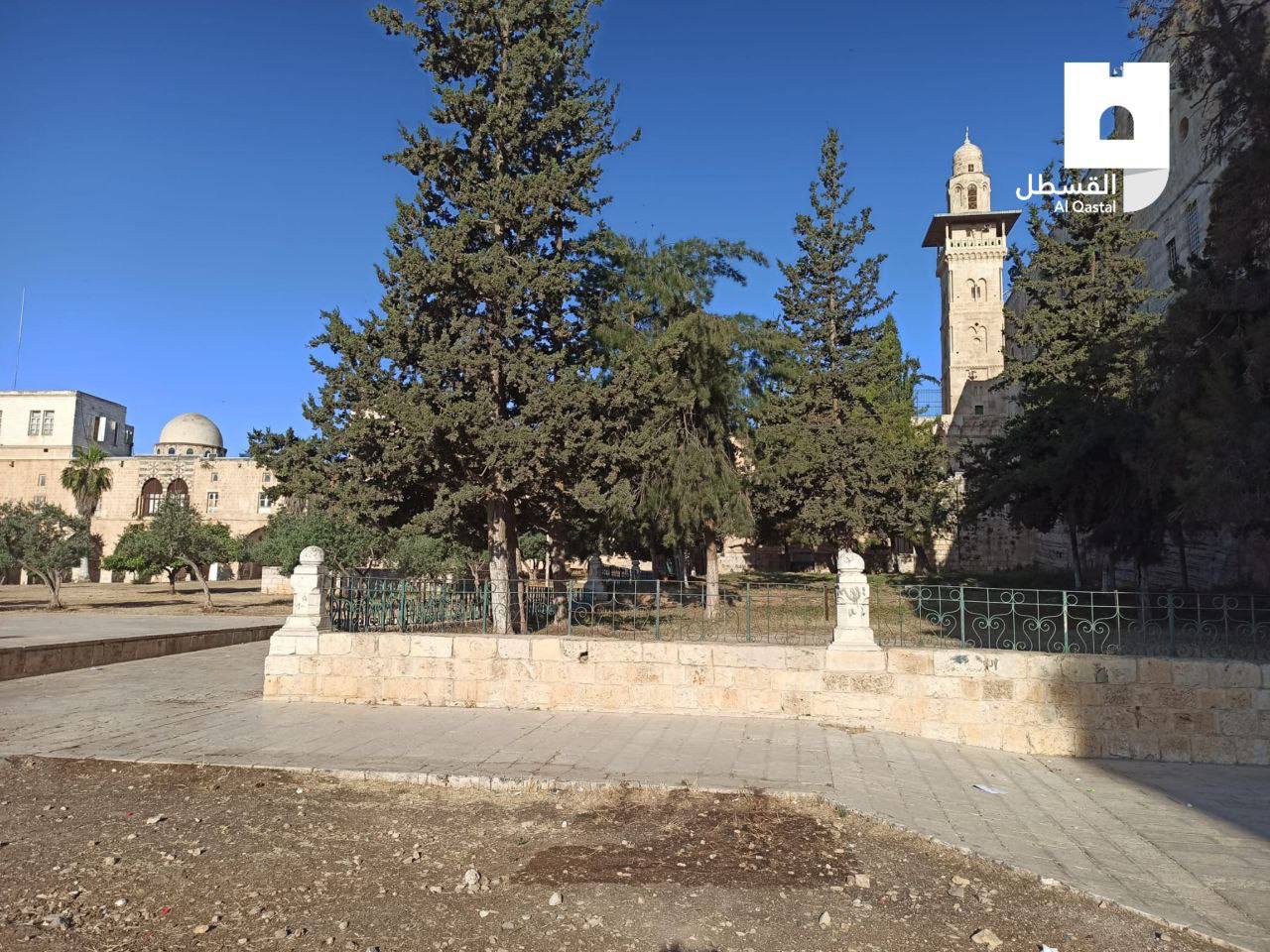 📷من باحات المسجد الأقصى المبارك