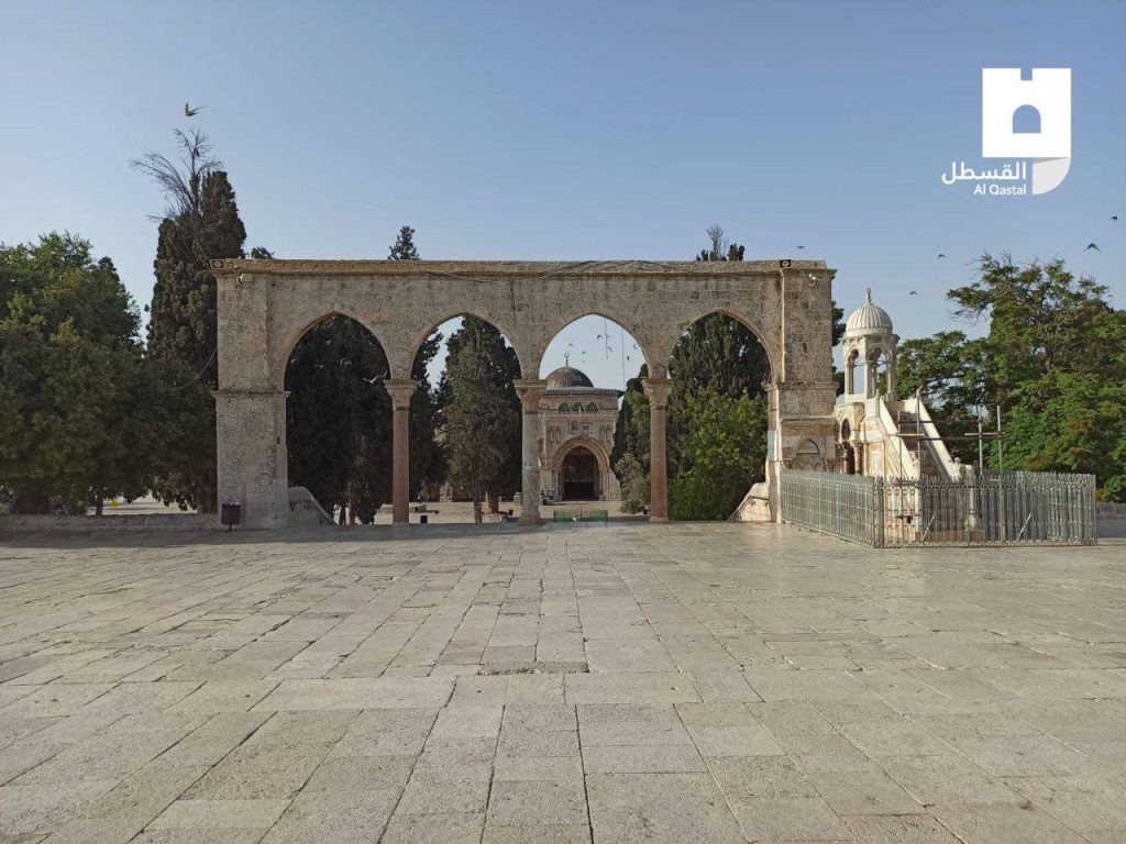 📷من باحات المسجد الأقصى المبارك