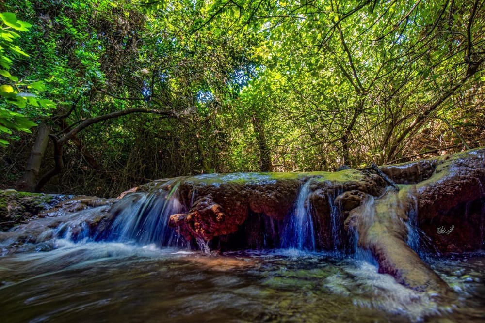 📷صور| من وادي العمود العلوي قرب مدينة صفد في الجليل الأعلى.