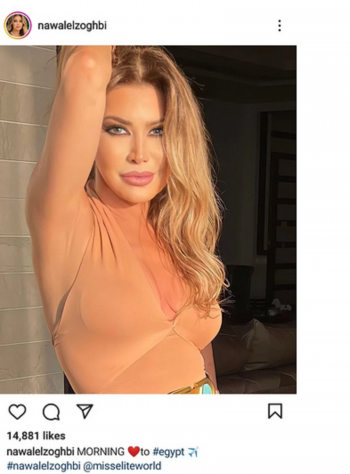نوال الزغبي ذاهبة إلى مصر فما التفاصيل?