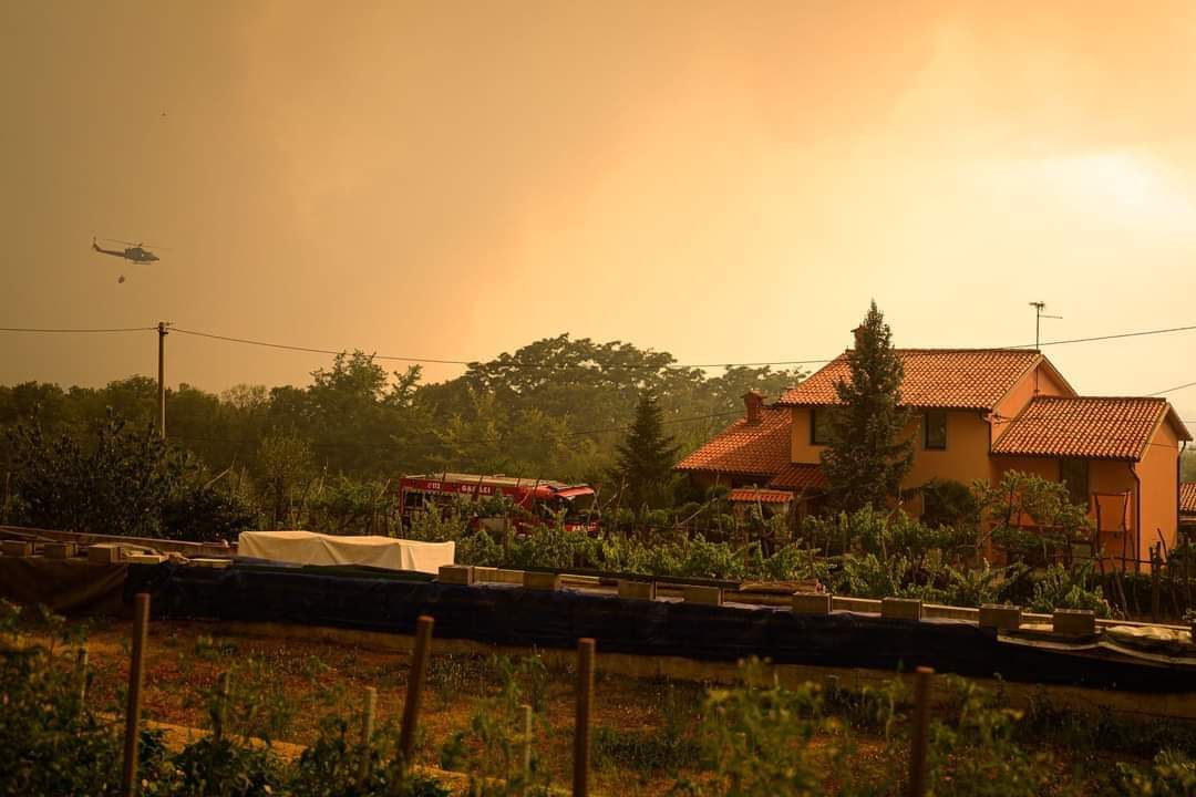 📷آلاف القتلى اثر الحرائق التي تسبب بها الحر الشديد في #أوروبا
