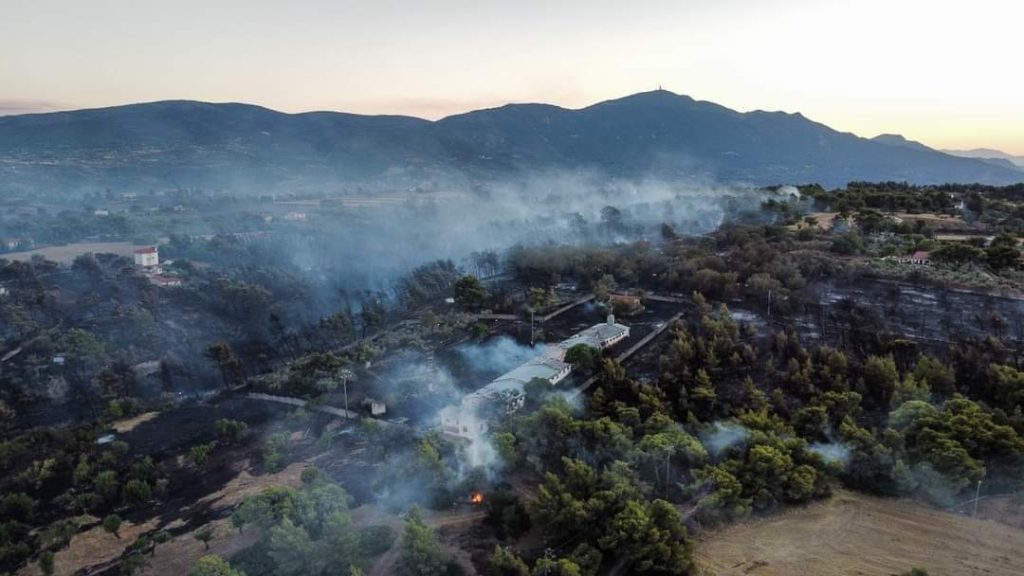 📷آلاف القتلى اثر الحرائق التي تسبب بها الحر الشديد في #أوروبا
