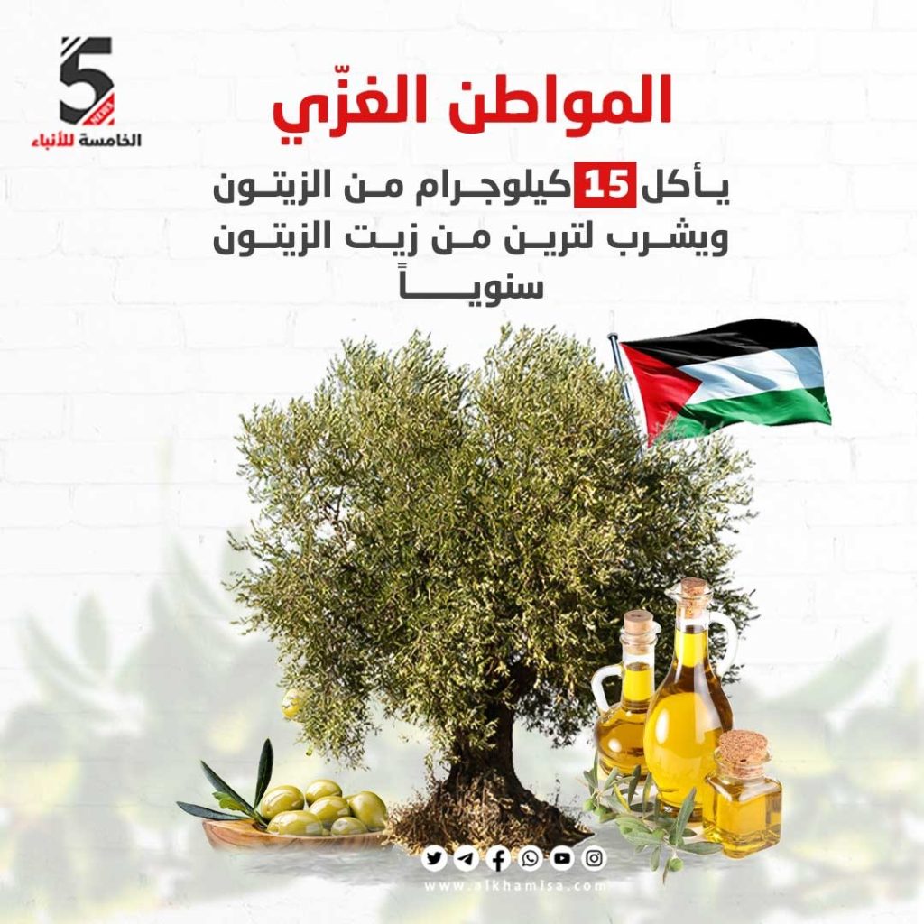 زيتون فلسطين