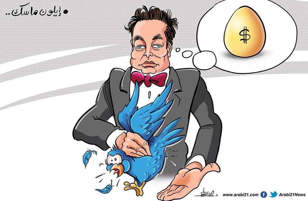 دجاجة إيلون ماسك