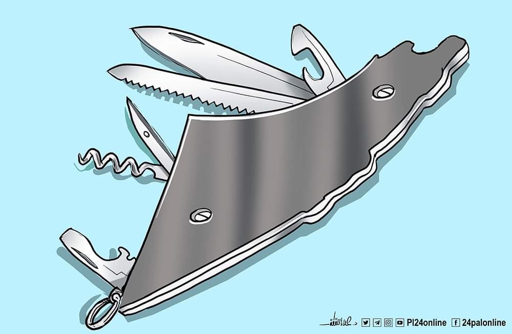 عريس الاستقلال 