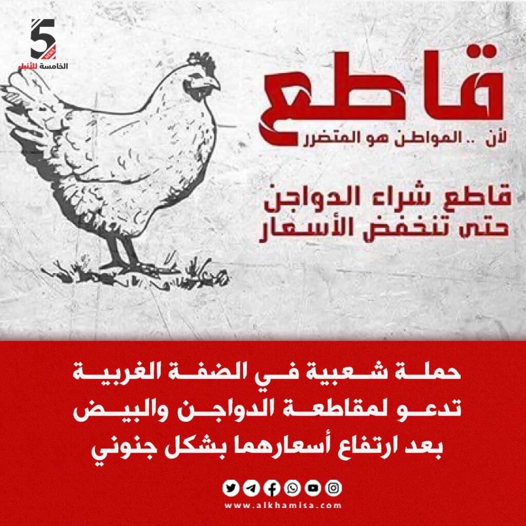 قاطع.. شراء الدواجن حتى تنخفض الأسعار 