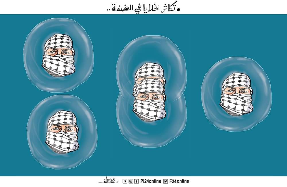 علاء اللقطة جنين