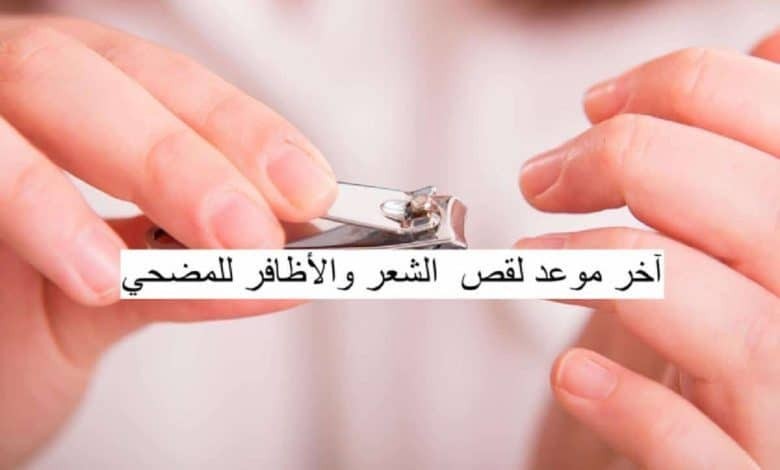 اخر موعد لحلق الشعر للمضحي 2023