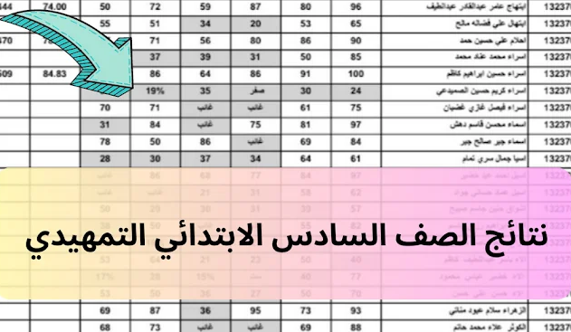 رسميًا.. نتائج السادس الابتدائي التمهيدي 2023 "موقع نتائجنا "