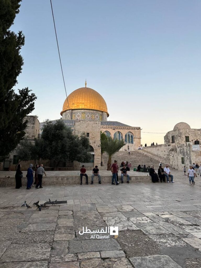 المسجد الأقصى المبارك قبل قليل
أسعد الله مساءكم بكل خير 🌼