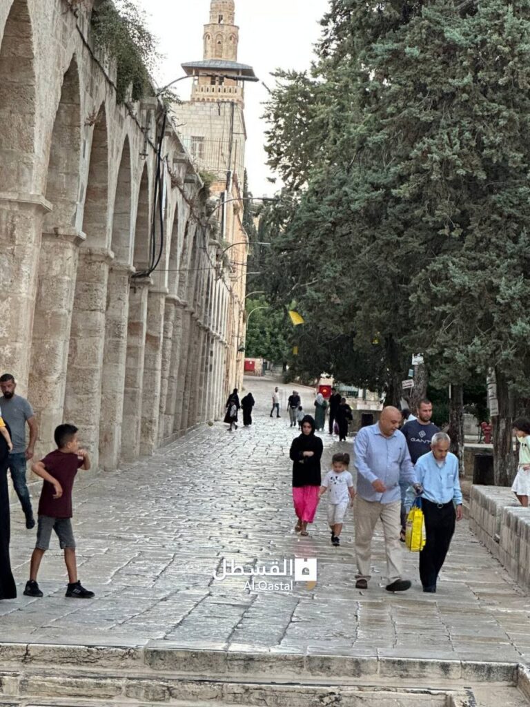 المسجد الأقصى المبارك قبل قليل
أسعد الله مساءكم بكل خير 