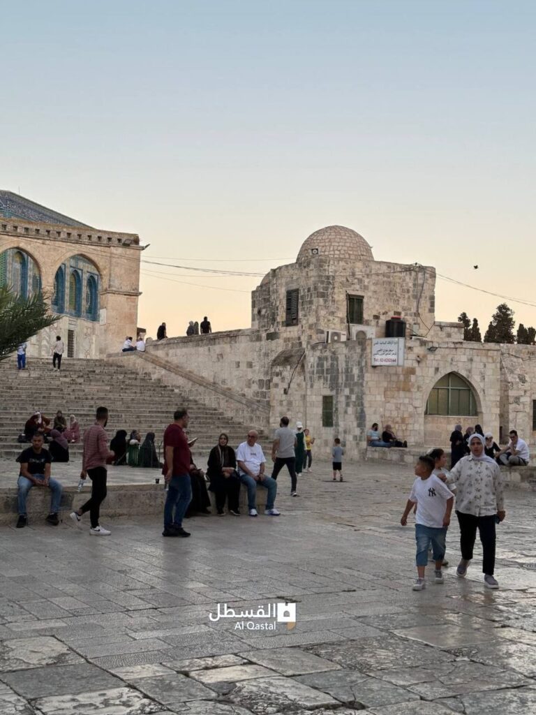 المسجد الأقصى المبارك قبل قليل
أسعد الله مساءكم بكل خير 