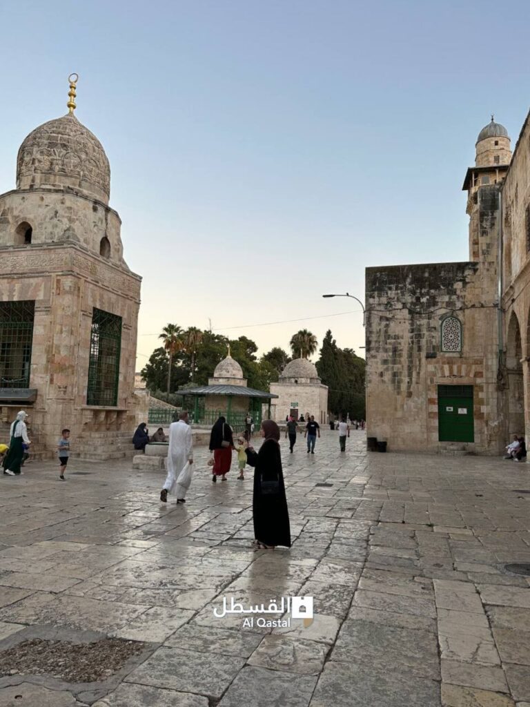 المسجد الأقصى المبارك قبل قليل
أسعد الله مساءكم بكل خير 