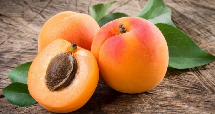 فوائد مذهلة للمشمش