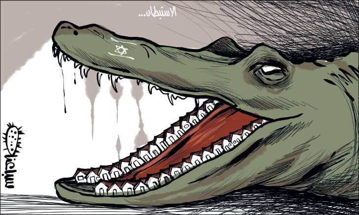 الاستيطان