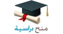 سفارة فلسطين بالقاهرة توضح آليات التقدم للمنح الجامعية