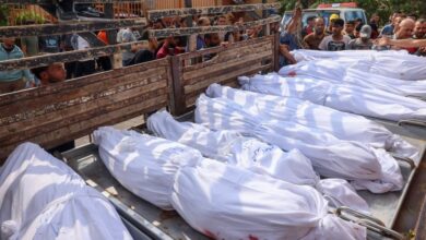 أسماء شهداء عائلة أبو شمالة برفح