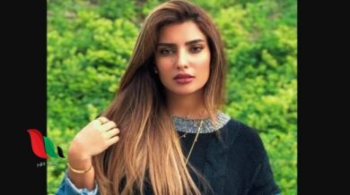 فضيحة نجاة ميلودي بسبب خلاف مع اوبرا opera telegram