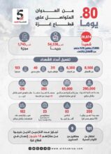 80 يوماً من العدوان المتواصل على قطاع غزة