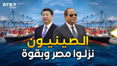 مدينة صينية في مصر.. أكبر من رأس الحكمة وقناة السويس