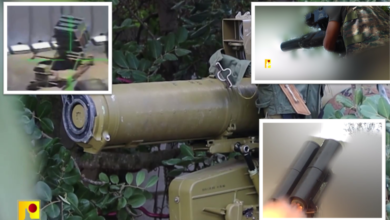 حتى الصراصير لن تنجو.. سلاح جديد امتلكه حزب الله