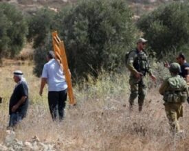 مستعمر يمنع مواطنين من قطف الزيتون في الخضر