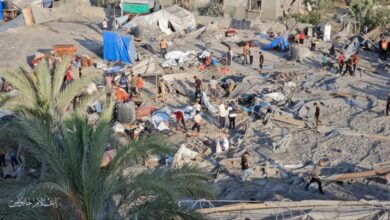 398 يوما للحرب على فلسطين