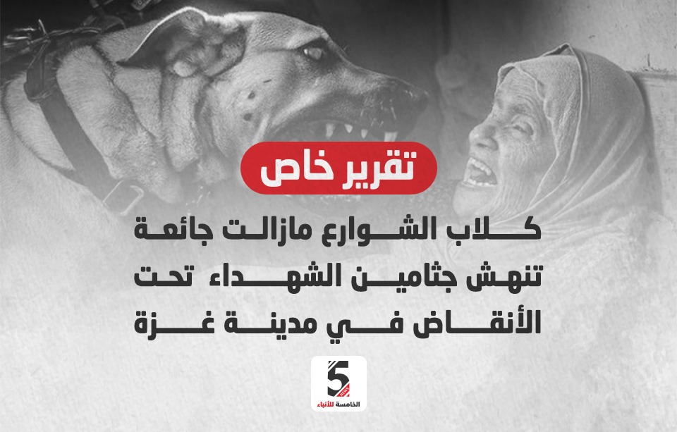 كلاب الشوارع مازالت جائعة تنهش جثامين الشهداء تحت الأنقاض في مدينة غزة