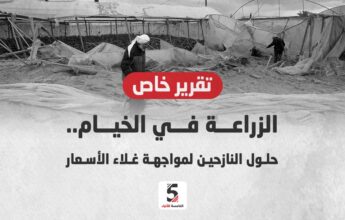 حلول النازحين لمواجهة غلاء الأسعار