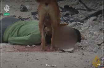 حماس: نهش الكلاب جثامين الشهداء يكشف وحشية سلوك الاحتلال