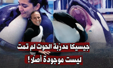 جيسيكا مدرّبة الحوت.. قصة مأساوية تصدرت التريند