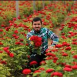 مصطفى الصواف ومنتصر ومروان.. حين تصبح الكلمة والصورة ثمنًا للحياة