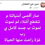 Haneen al-Qatshan — the voice of Gaza who defied death and turned words into a human testimony