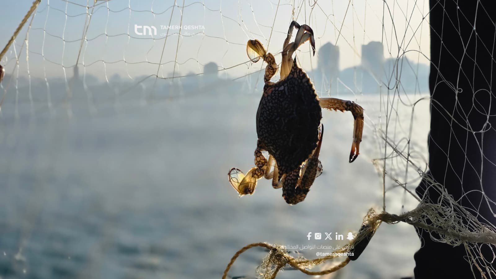 صيادو غزة يخاطرون بحياتهم يوميًا