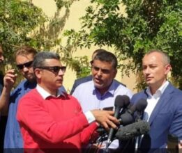 نيكولاي ملادينوف