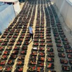 الصحفي محمد قشطة… وجه الإنسانية في حرب الإبادة