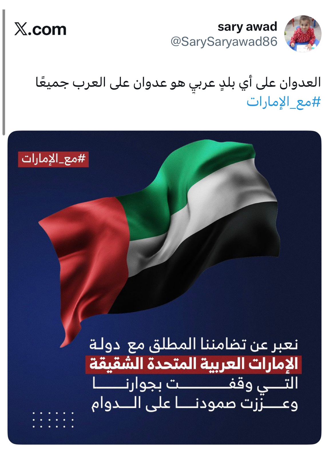 فلسطينيون يطلقون حملة إلكترونية واسعة دعمًا للإمارات ورفضاً لأي عدوان يستهدف أمنها