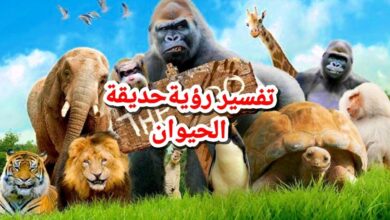 تفسير رؤية حديقة الحيوان في المنام