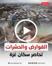 القوارض والحشرات تغزو خيام النازحين في غزة