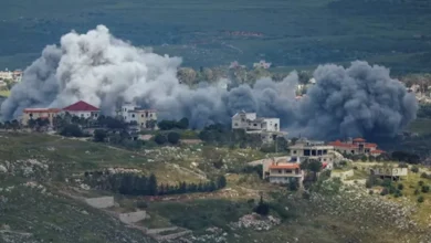 لبنان: الغارات الإسرائيلية تطال بساتين زيتون معمّرة وإرثًا تاريخيًا في جنوب البلاد