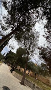 المسجد الاقصى