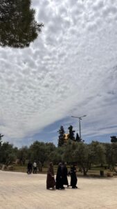 المسجد الاقصى