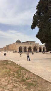 "عامر بأهله".. المسجد الأقصى المبارك، ظهر اليوم